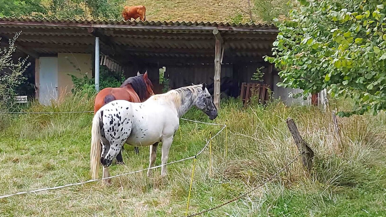 Photo of Others in Soulan