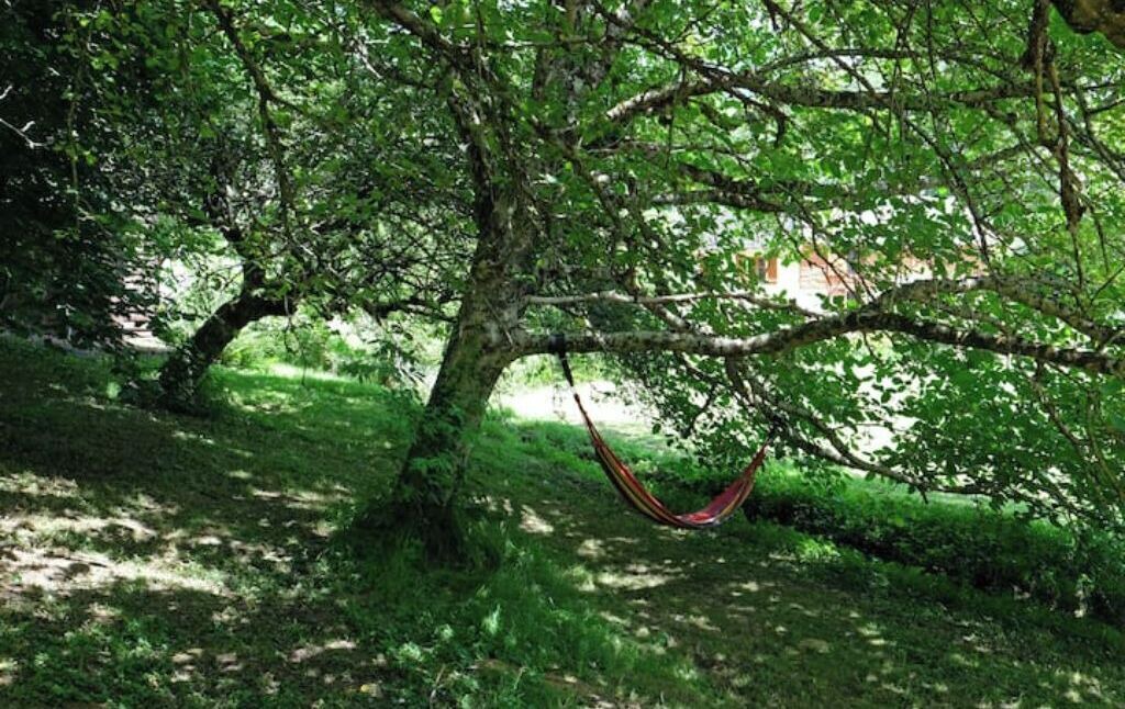 Photo of Outdoor in Soulan