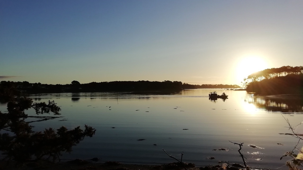 Photo of Others in Arradon