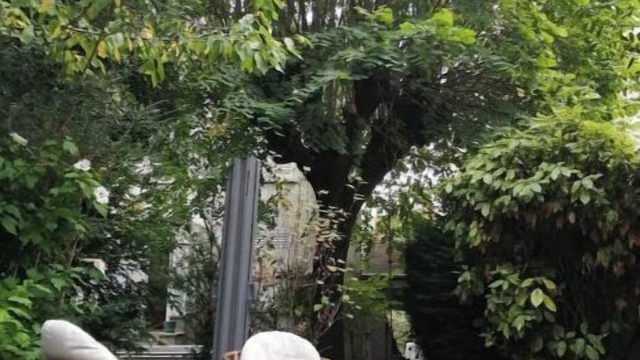 Photo of Patio Balcony in Argenteuil