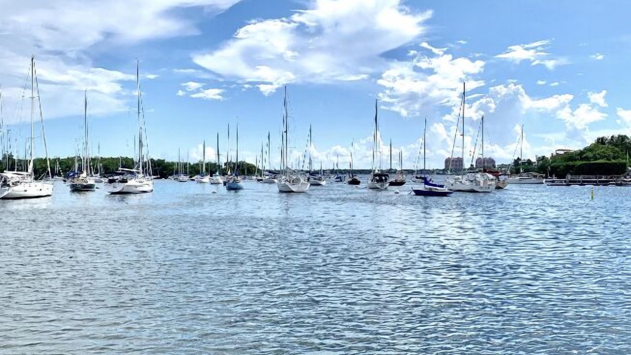 Photo of Others in Coconut Grove