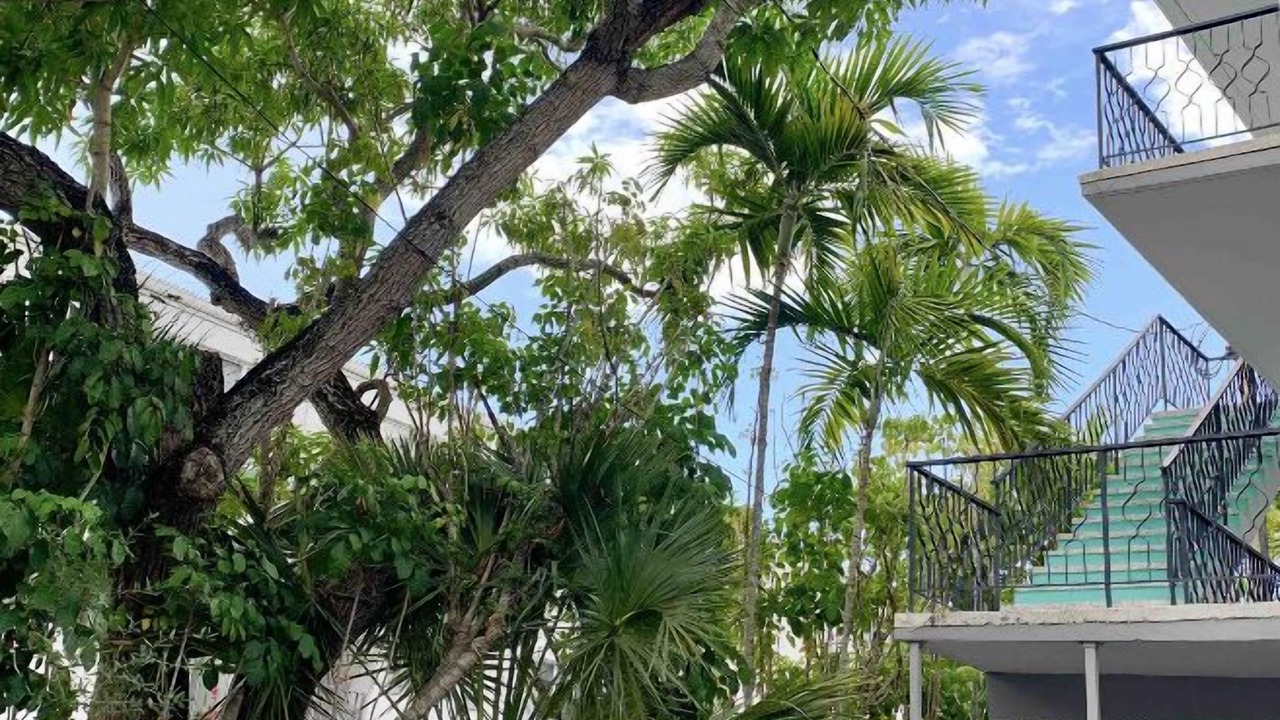 Photo of Outdoor in Coconut Grove