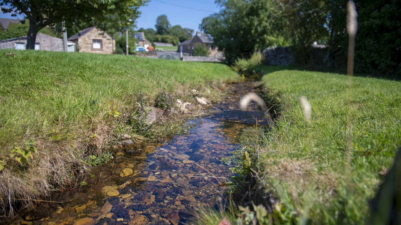 Photo of Others in Bellerby