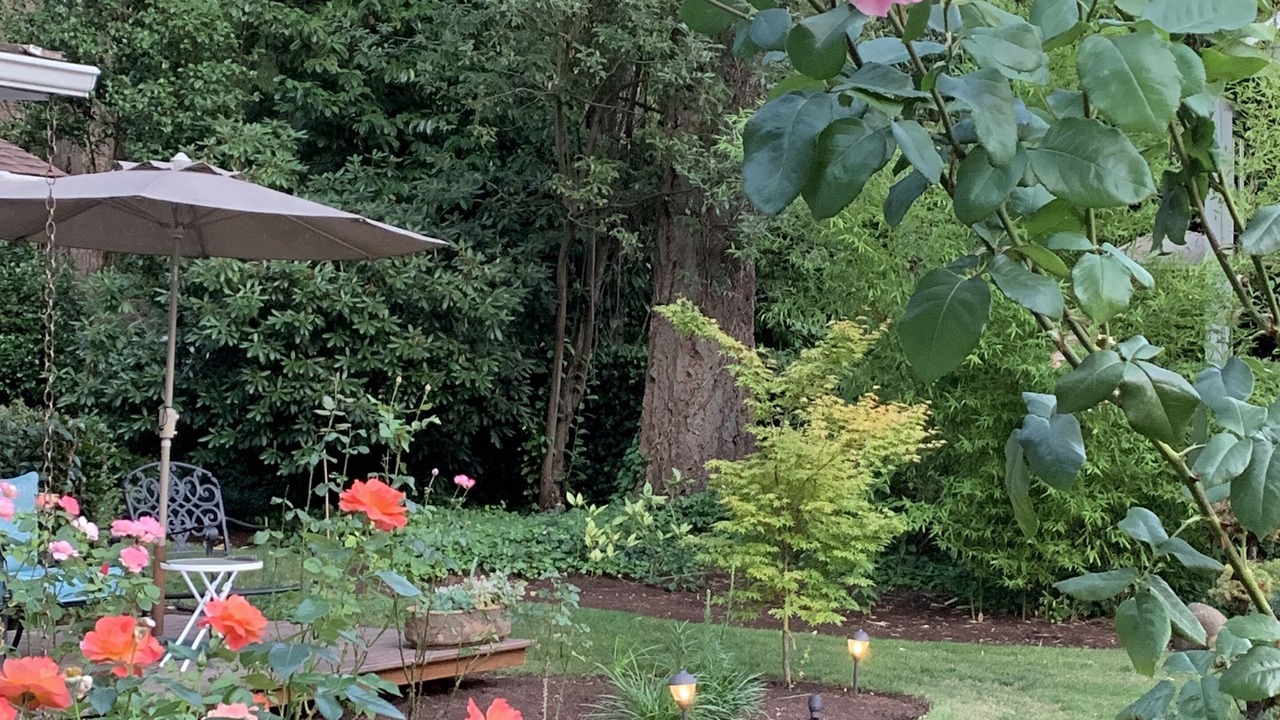 Photo of Outdoor in Stafford - Tualatin Valley