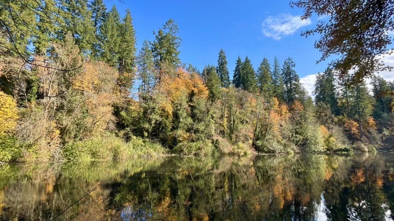 Photo of Outdoor in Stafford - Tualatin Valley
