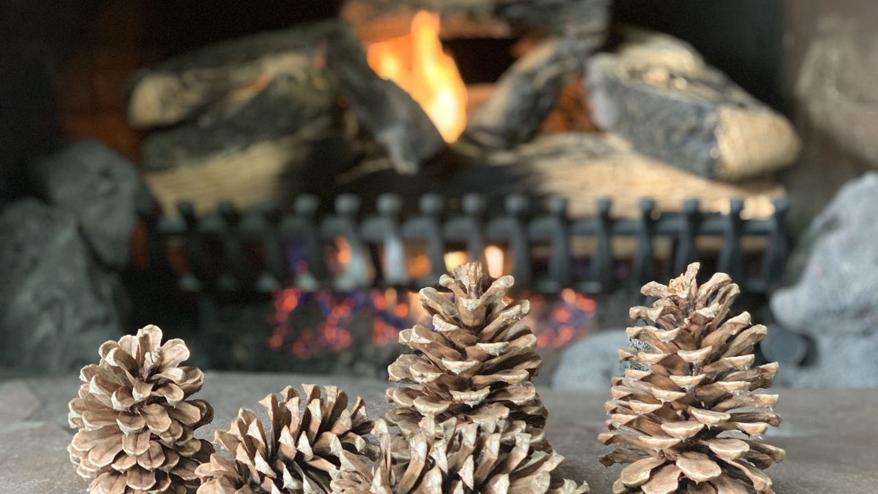 Photo of Others in Stafford - Tualatin Valley