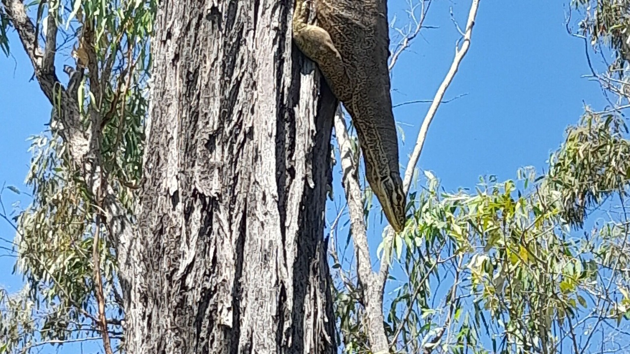 Photo of Outdoor in Kullogum