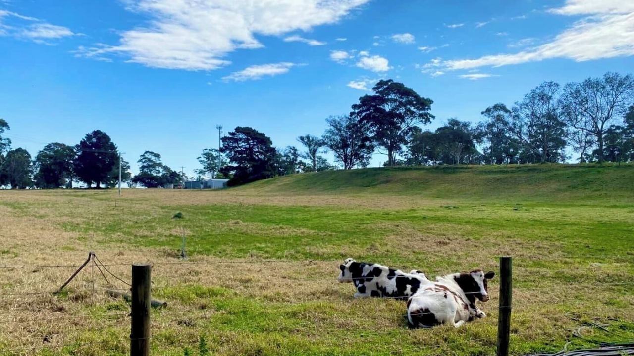 Photo of Others in Longford