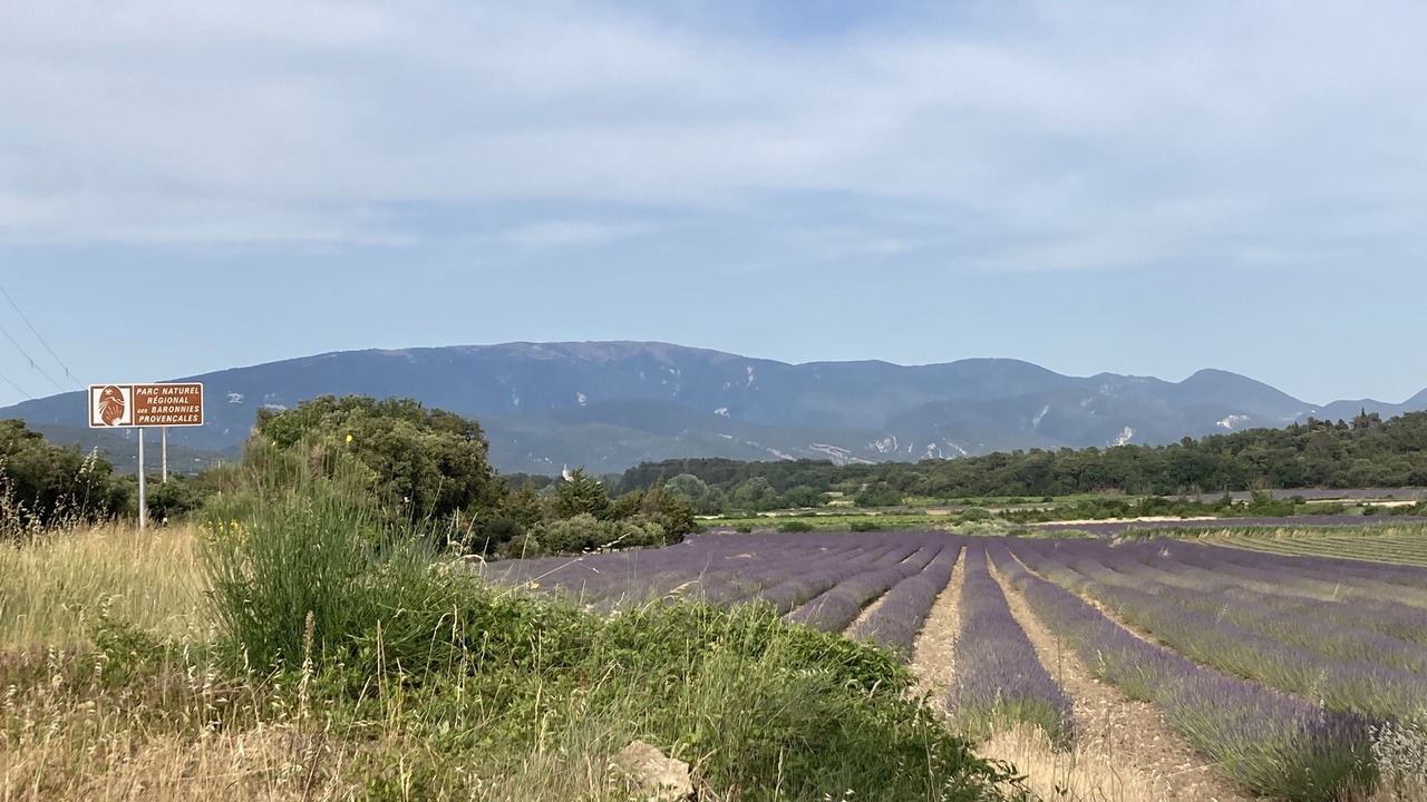 Photo of Outdoor in Taulignan