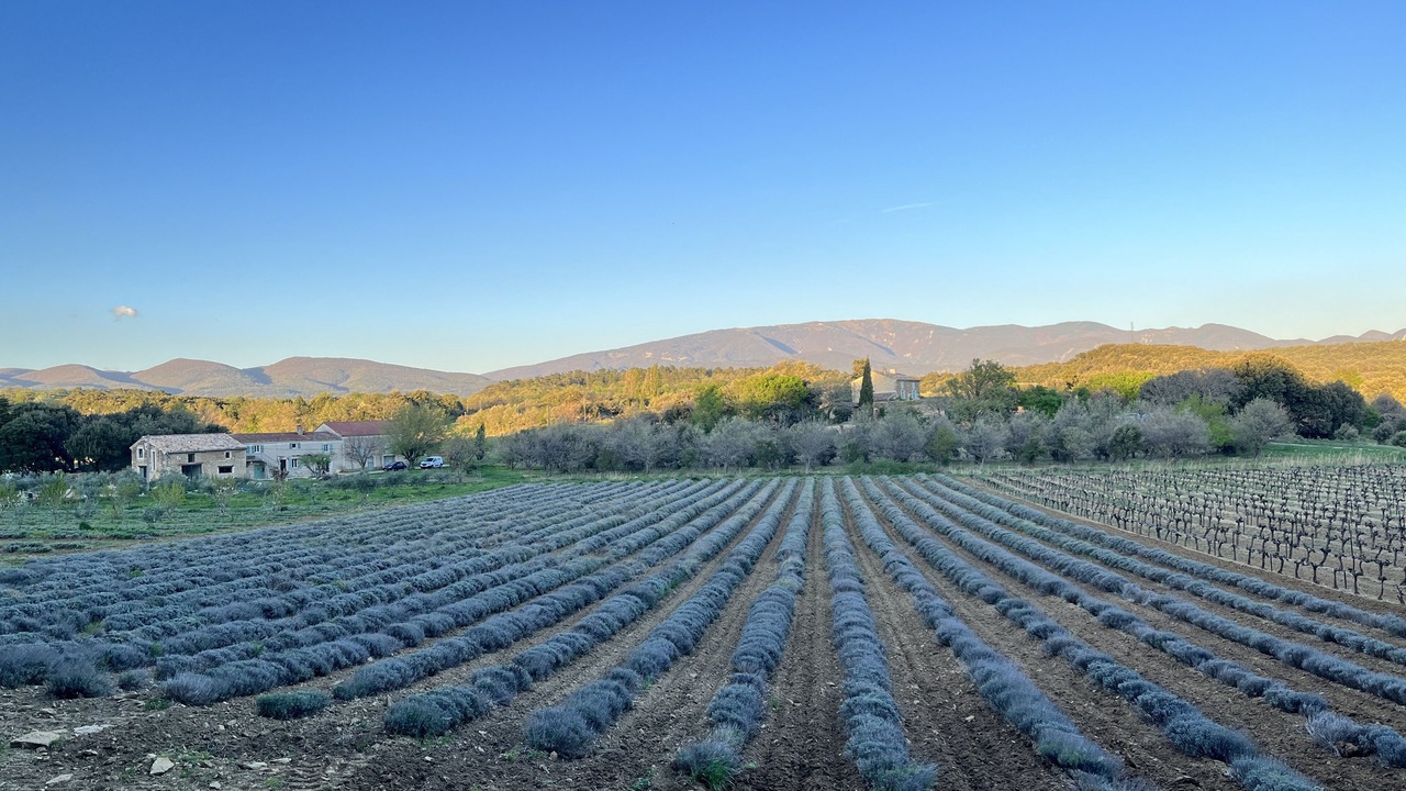 Photo of Others in Taulignan