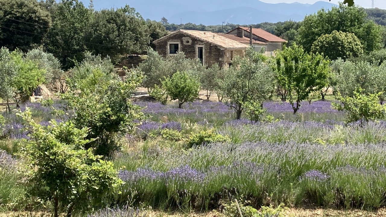 Photo of Outdoor in Taulignan