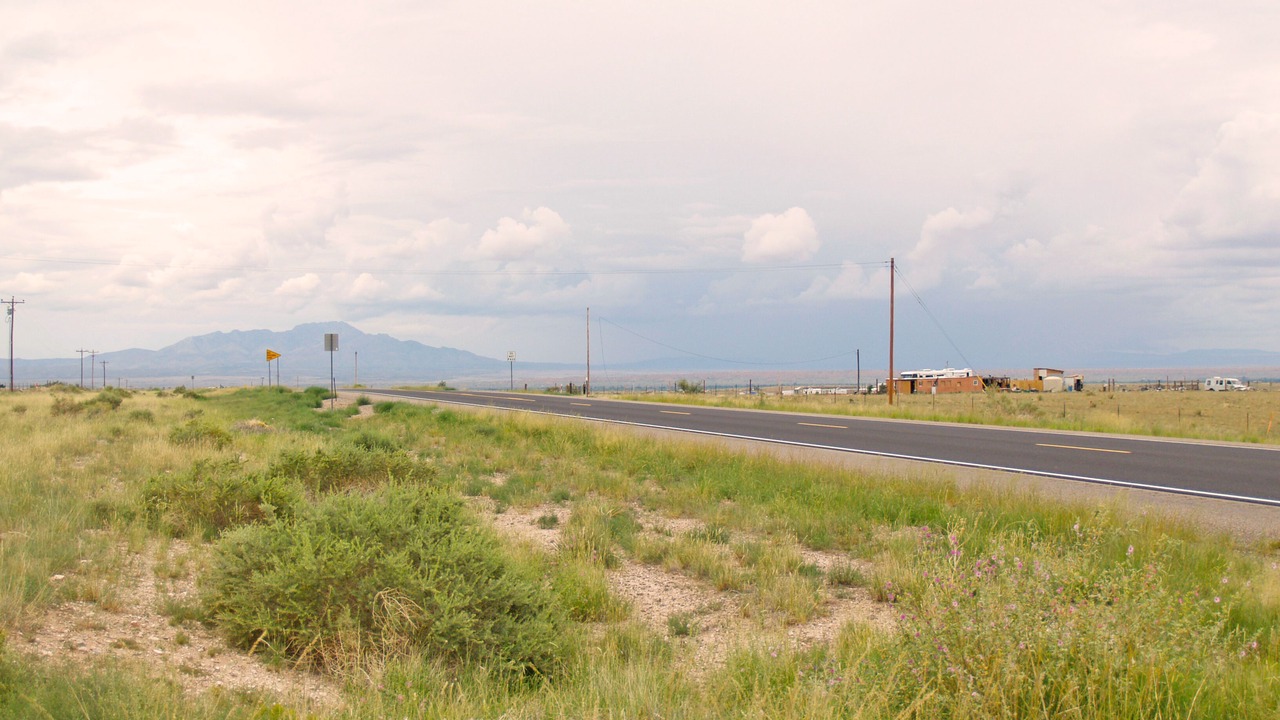 Photo of Others in Bosque