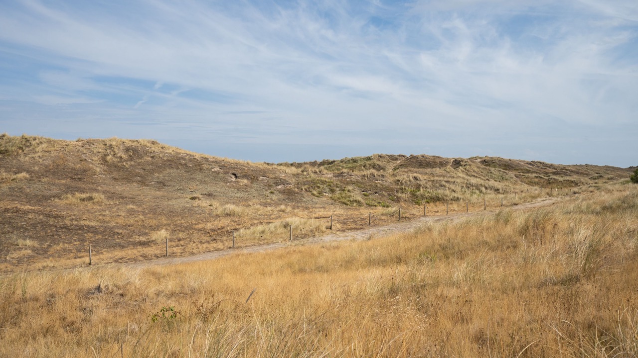 Photo of Others in Winterton-on-Sea