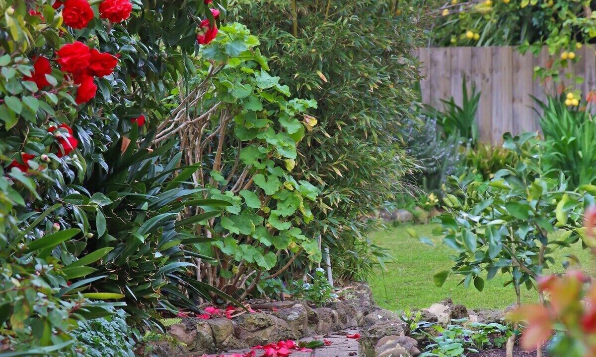 Photo of Outdoor in Clifton Springs