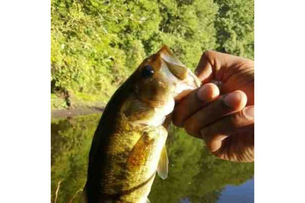 Photo of Outdoor in Lebanon