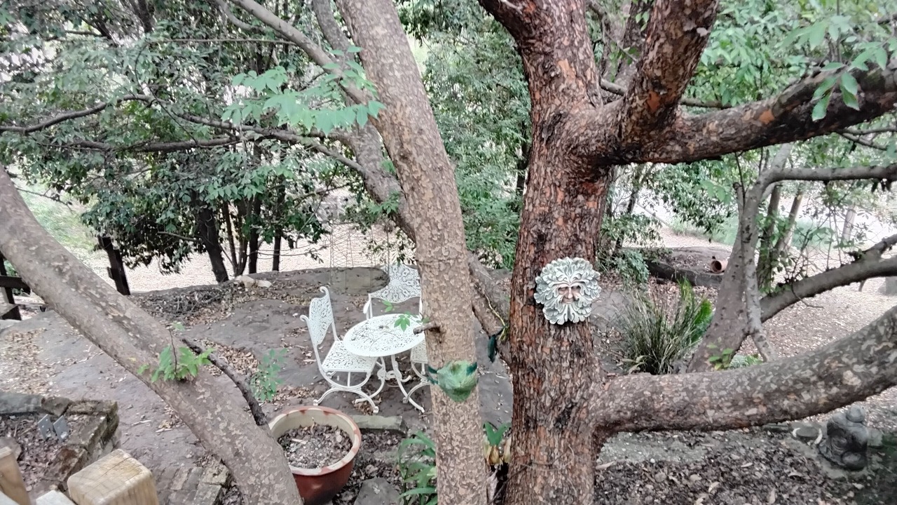 Photo of Outdoor in St. Albans