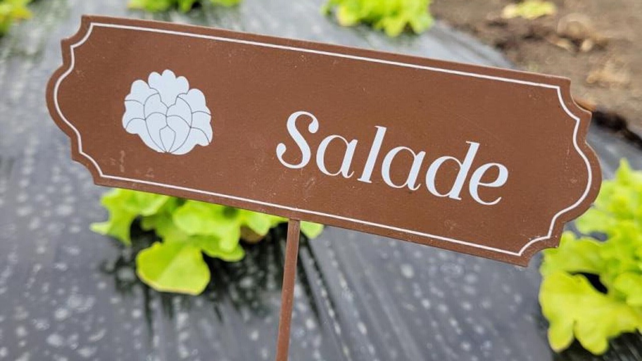 Photo of Others in Taxat-Senat