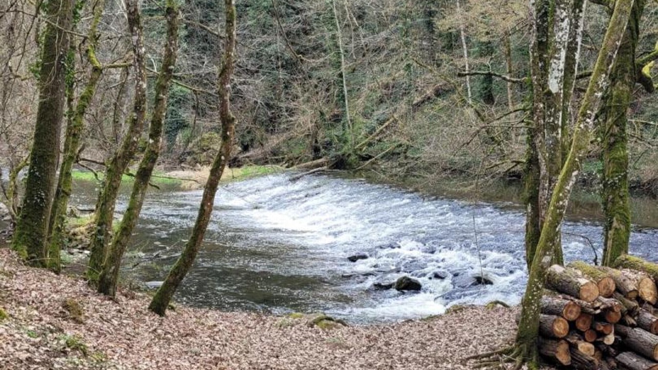 Photo of Others in Taxat-Senat