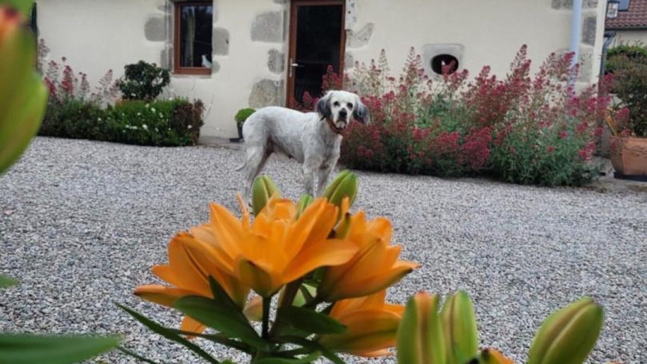 Photo of Outdoor in Taxat-Senat