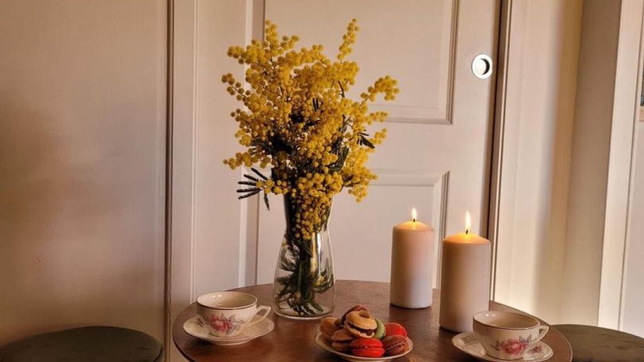 Photo of Others in Taxat-Senat