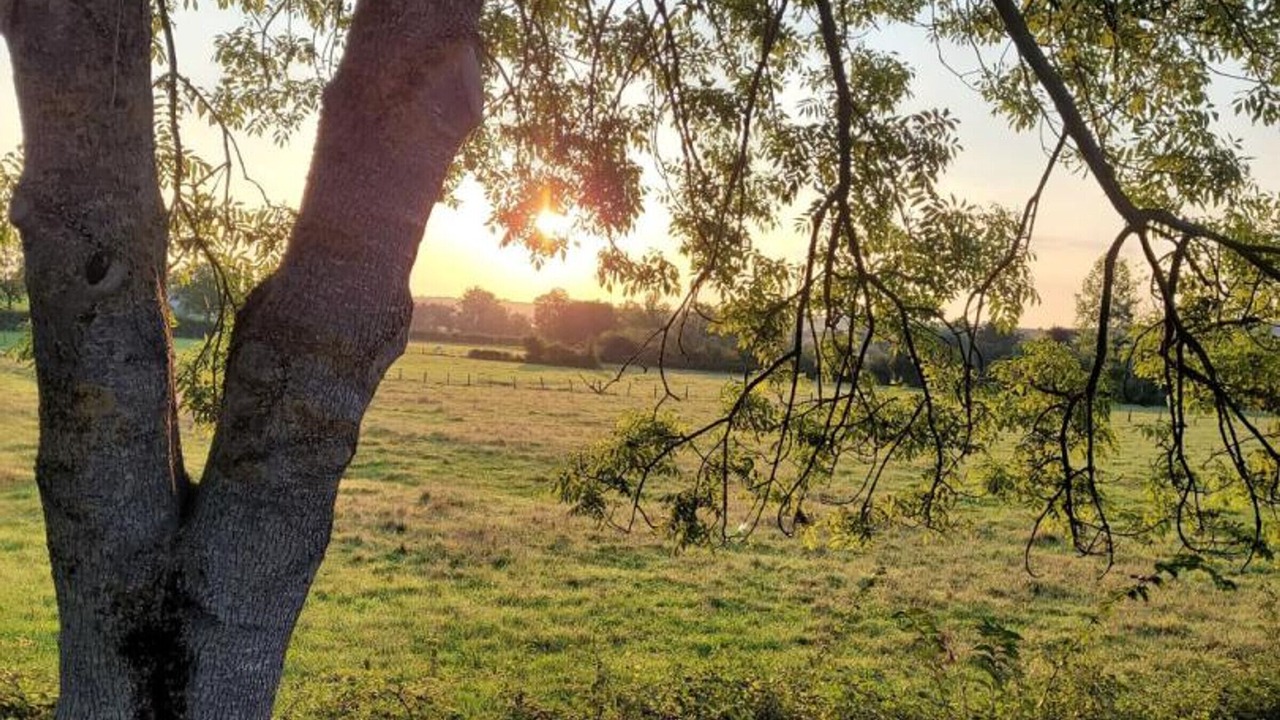 Photo of Outdoor in Taxat-Senat