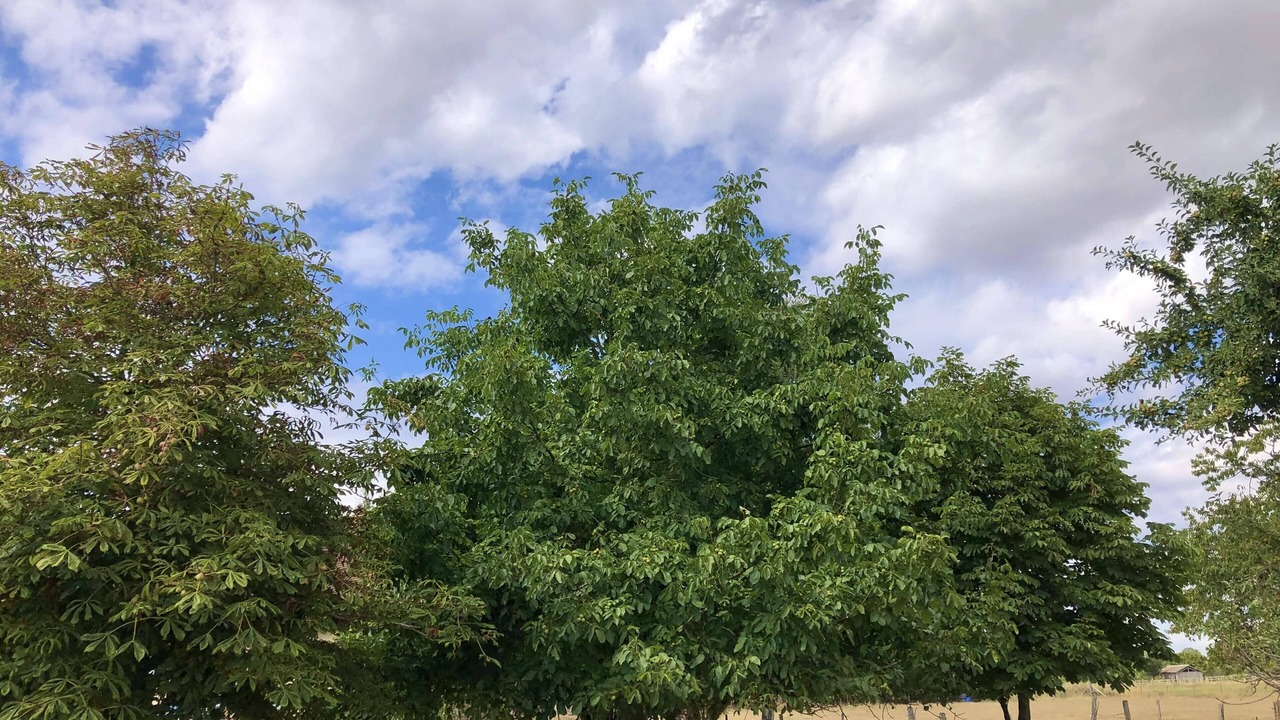 Photo of Outdoor in Villers-sur-Auchy