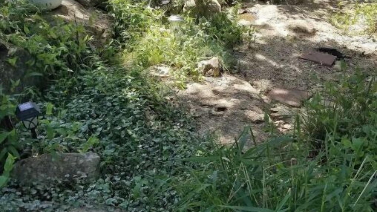 Photo of Outdoor in Georgetown