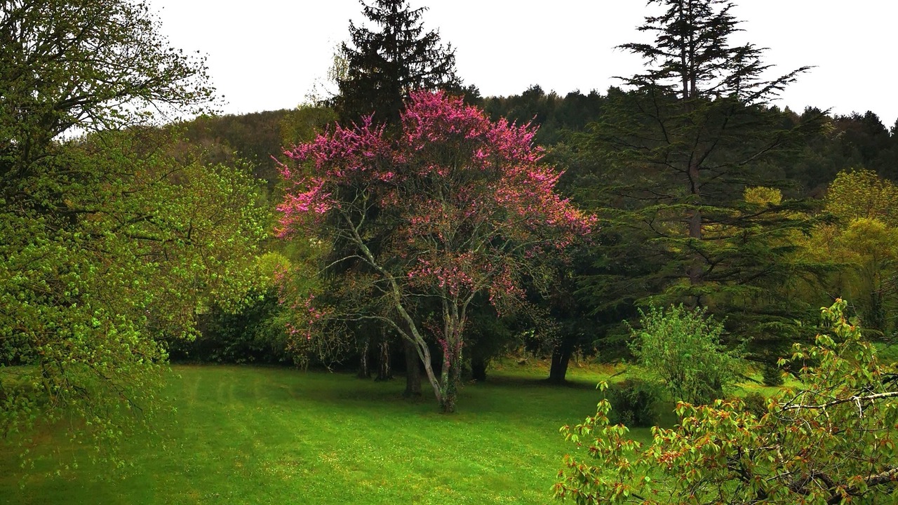 Photo of Outdoor in Segura
