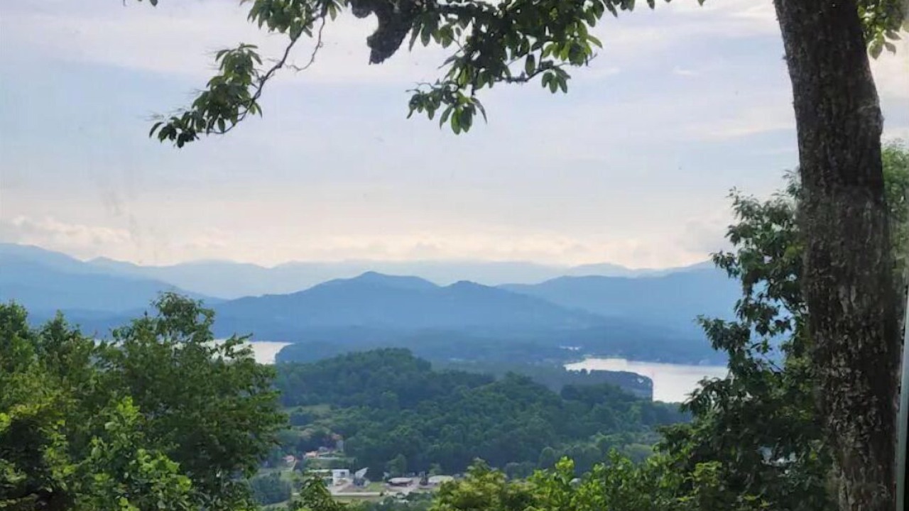 Photo of Others in Young Harris