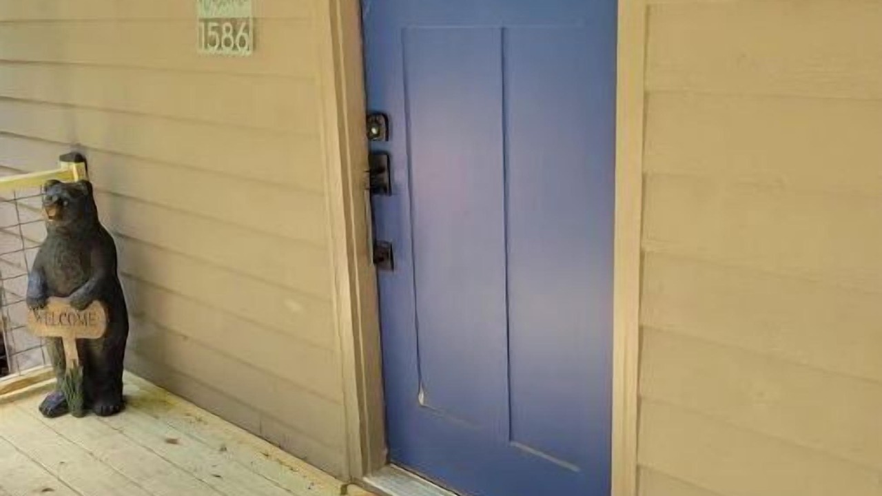 Photo of Outdoor in Young Harris