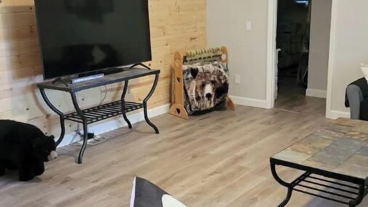 Photo of Bedroom in Young Harris