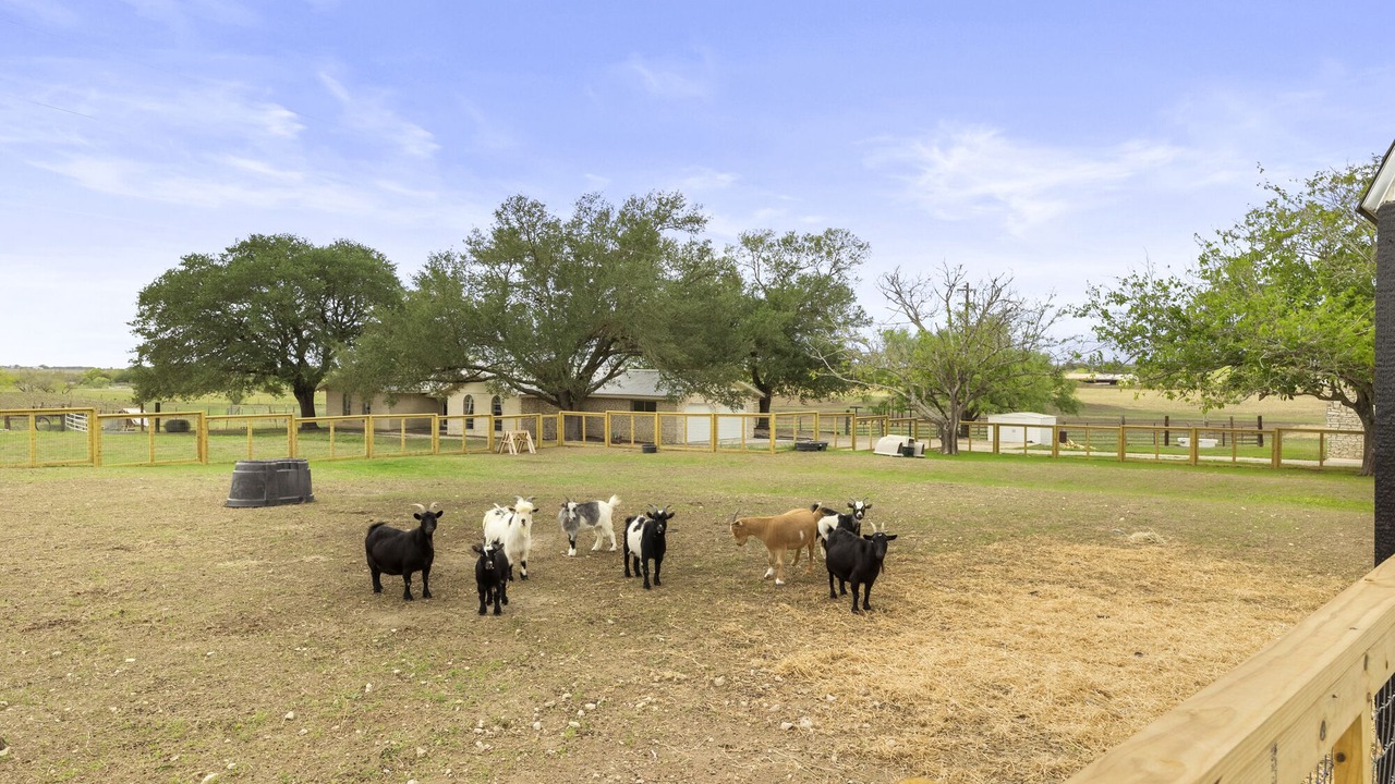 Photo of Others in San Marcos
