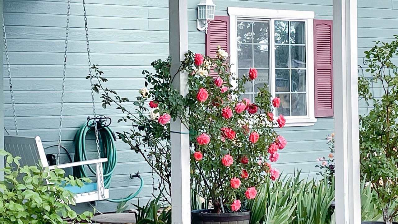 Photo of Others in Valley Springs