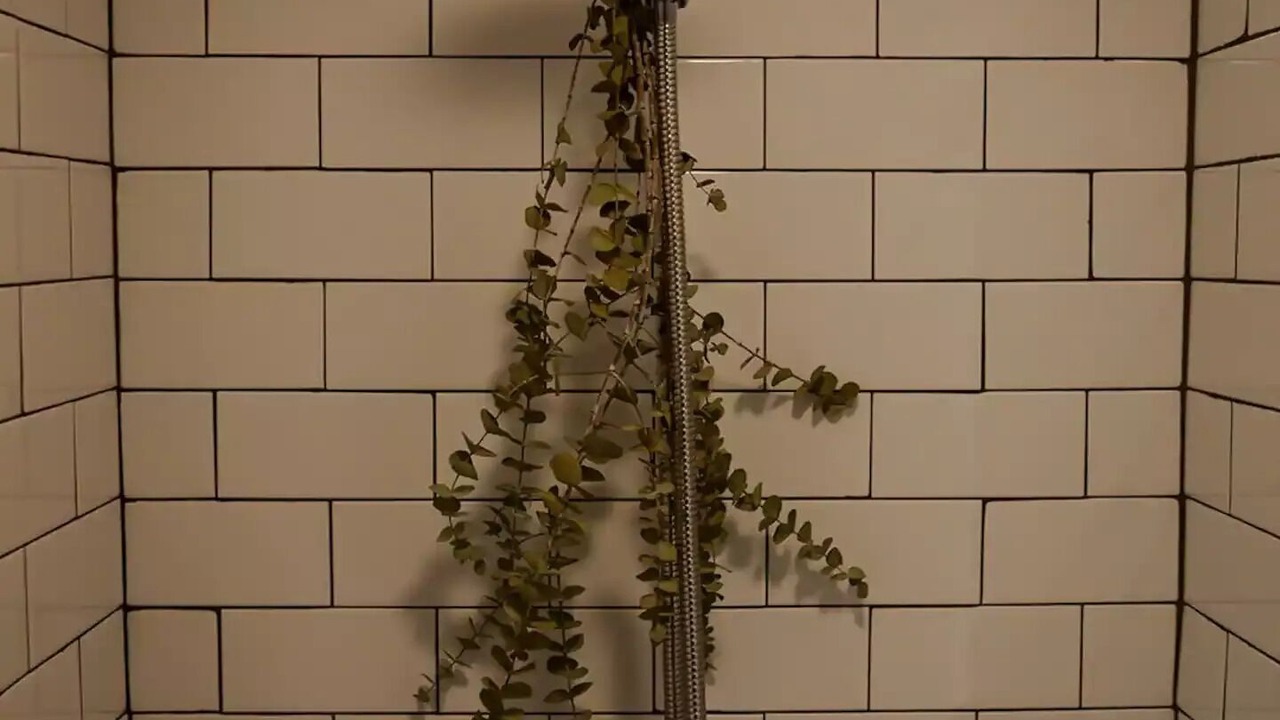 Photo of Bathroom in Knoxville