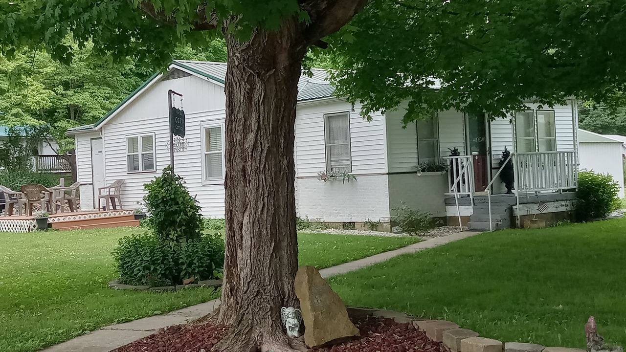 Photo of Outdoor in Eckerty