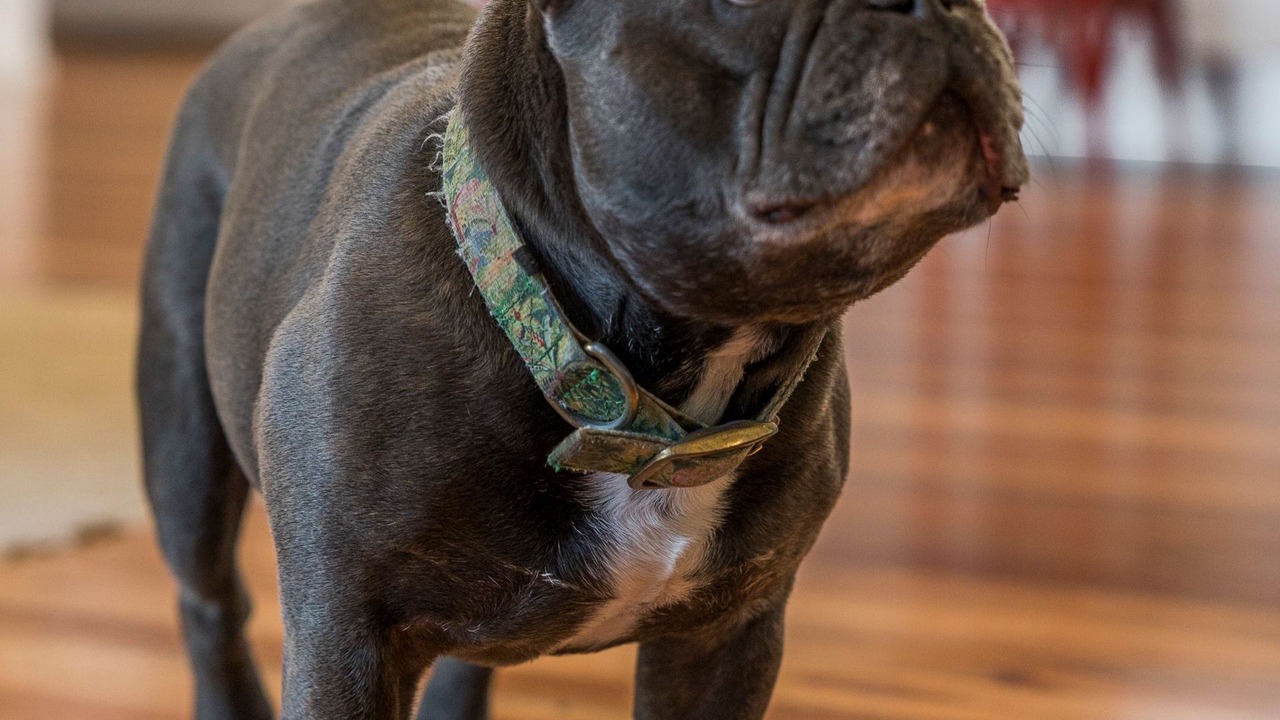 Photo of Others in Fairhaven