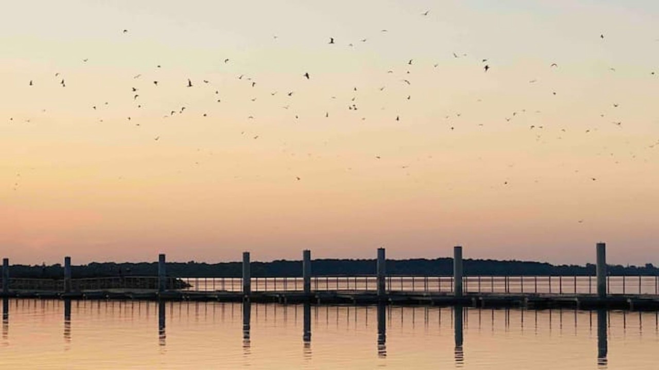 Photo of Others in Mesnil-Saint-Pere