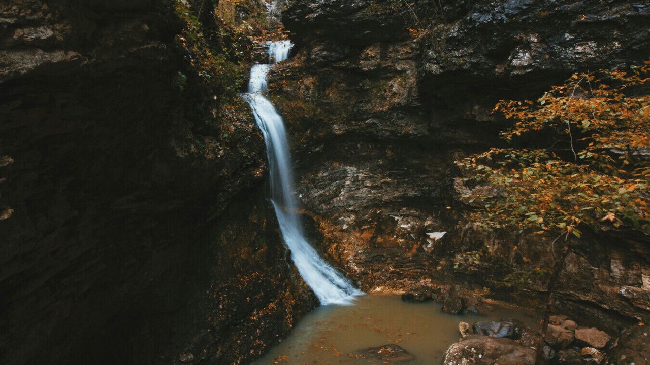 Photo of Others in Jasper
