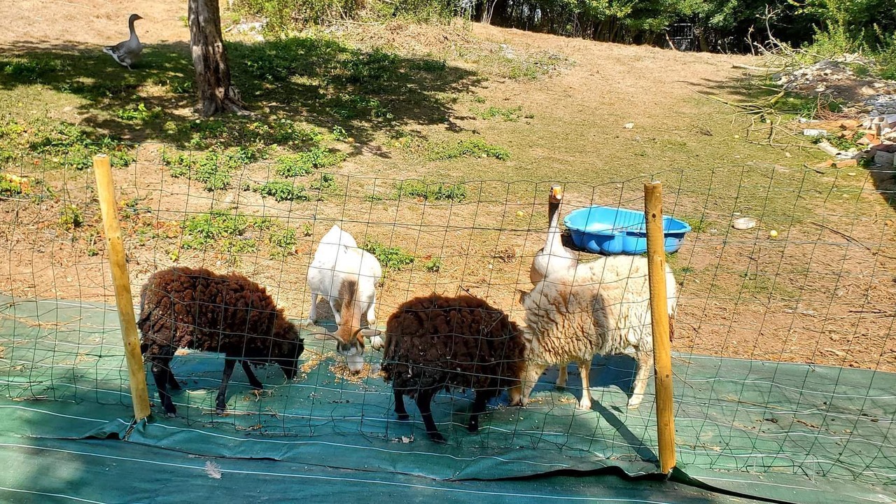 Photo of Others in Parenty