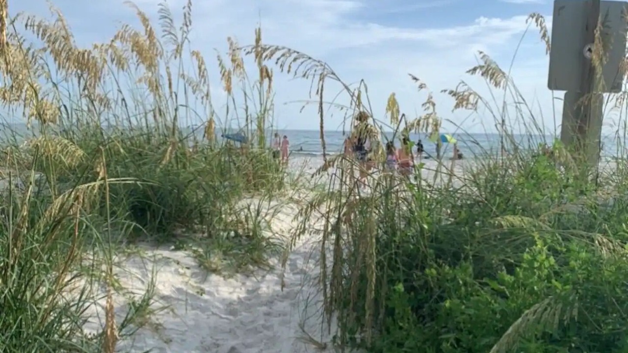Photo of Others in El Centro Beach
