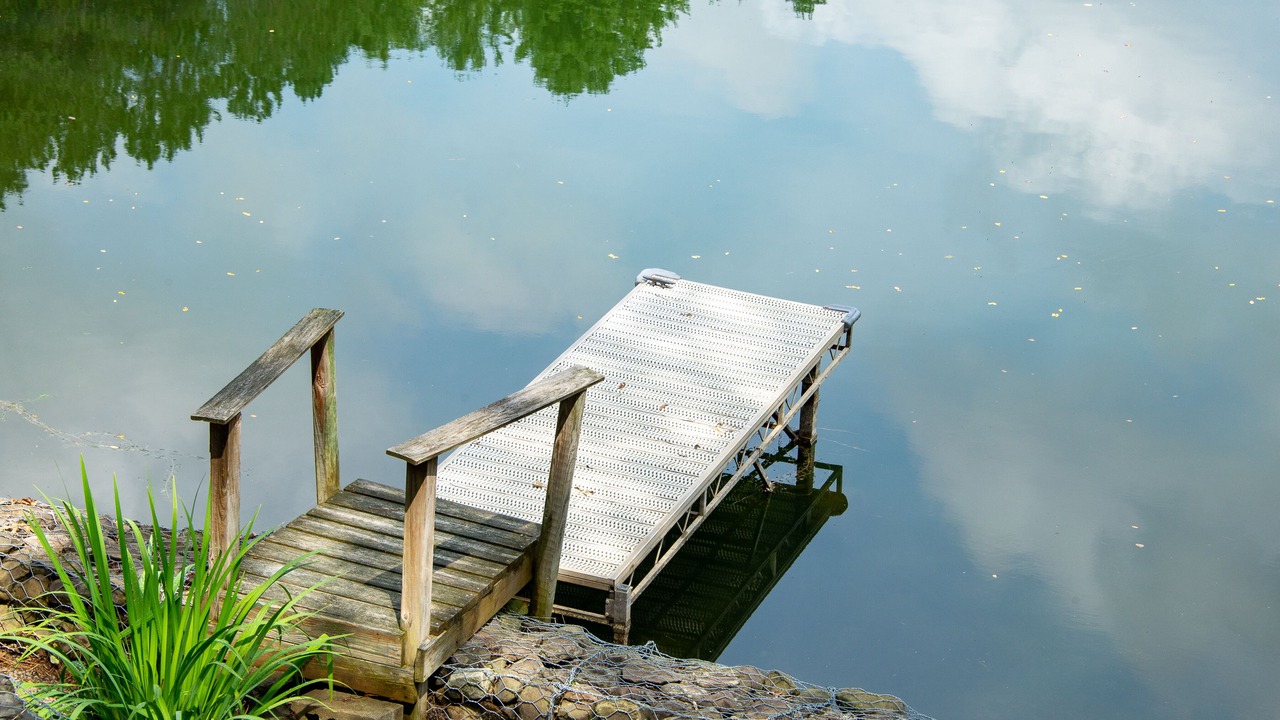 Photo of Others in Maryland