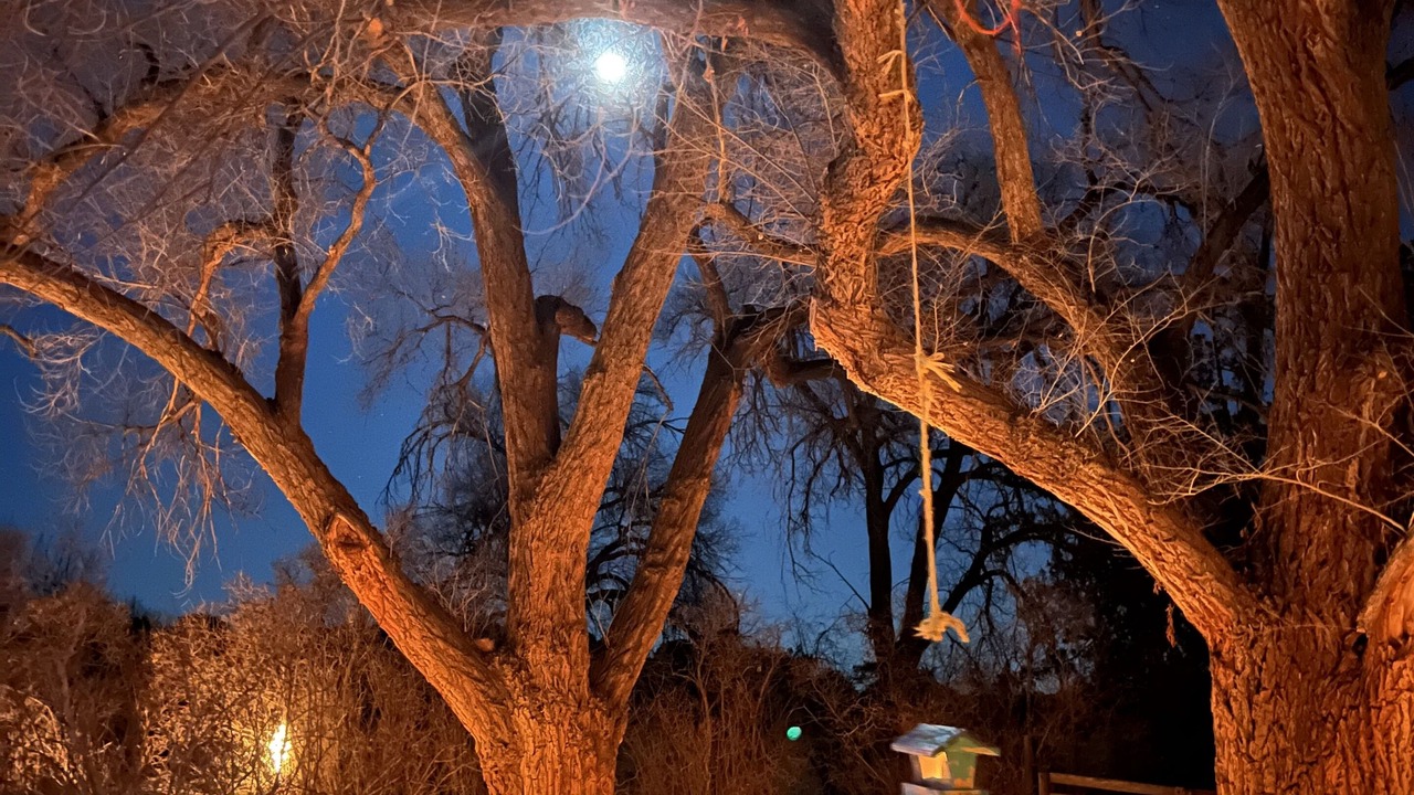 Photo of Outdoor in Canoncito