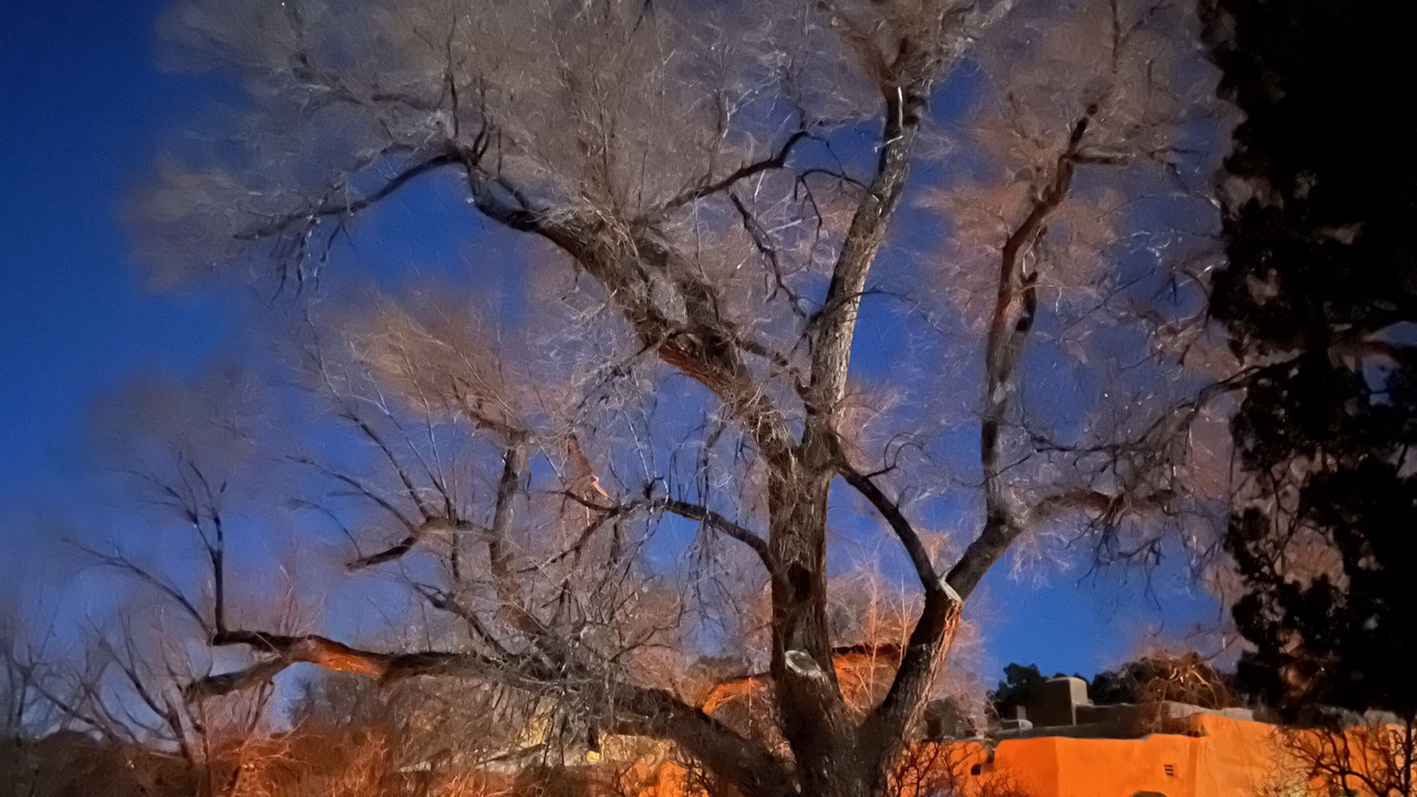 Photo of Outdoor in Canoncito