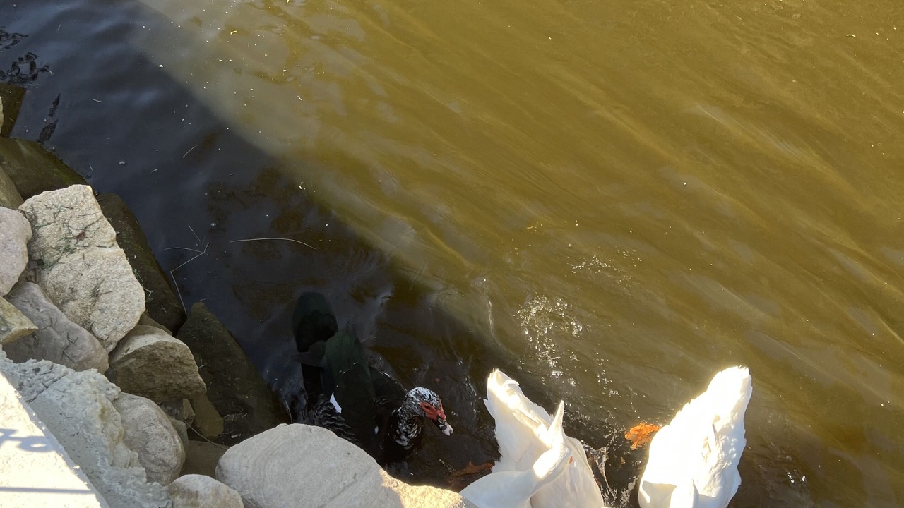 Photo of Outdoor in Umina Beach