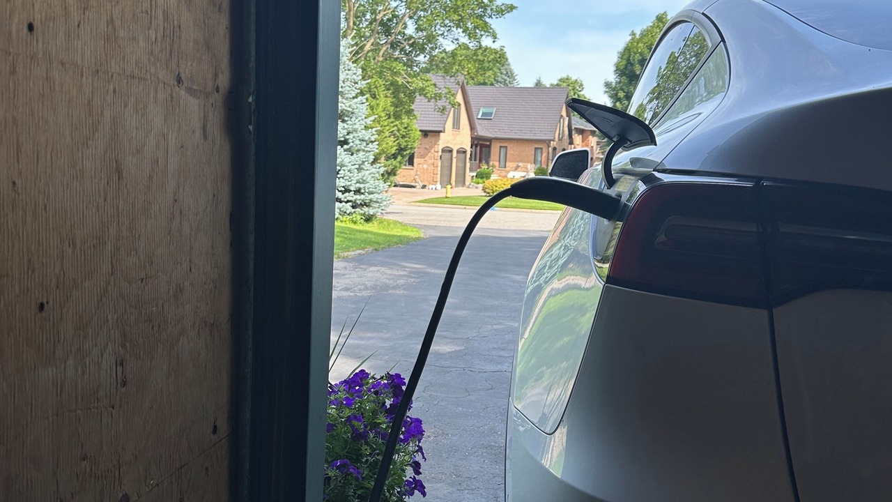 Photo of Outdoor in Sharon