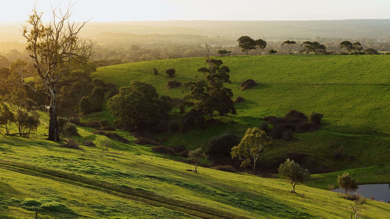 Photo of Outdoor in The Range
