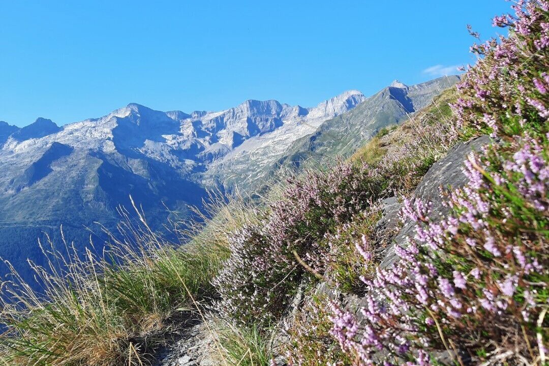Photo of Outdoor in Saint-Aventin