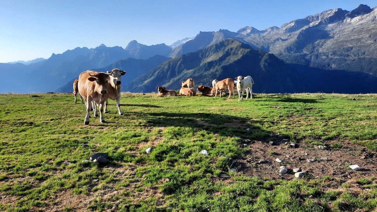 Photo of Outdoor in Saint-Aventin