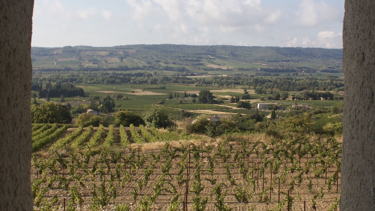 Photo of Others in Villedieu