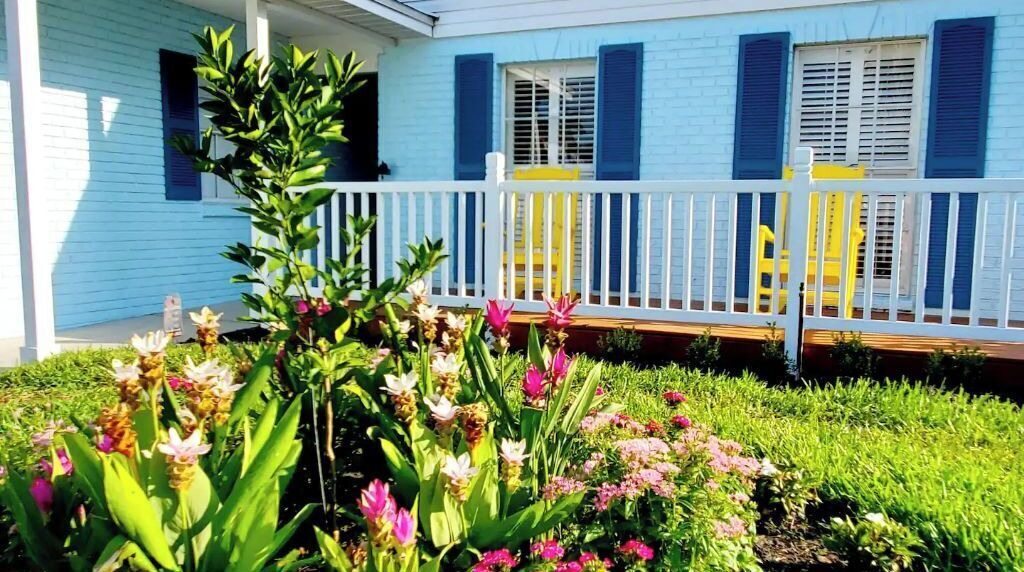 Photo of Outdoor in Davis Islands